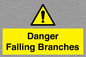 WV10531: Danger Falling Branches