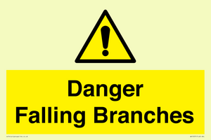 WV10531: Danger Falling Branches