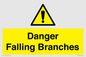 WV10531: Danger Falling Branches