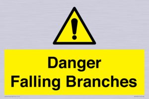 WV10531: Danger Falling Branches