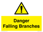 WV10531: Danger Falling Branches