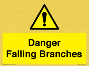 WV10531: Danger Falling Branches