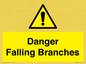 WV10531: Danger Falling Branches