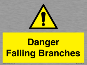 WV10531: Danger Falling Branches