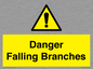 WV10531: Danger Falling Branches