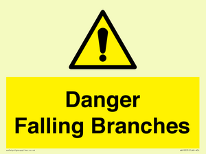 WV10531: Danger Falling Branches