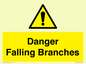 WV10531: Danger Falling Branches