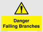 WV10531: Danger Falling Branches