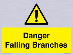 WV10531: Danger Falling Branches