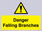 WV10531: Danger Falling Branches