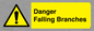 WV10531: Danger Falling Branches