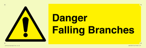 WV10531: Danger Falling Branches