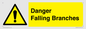 WV10531: Danger Falling Branches