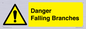 WV10531: Danger Falling Branches