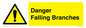WV10531: Danger Falling Branches