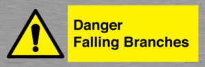 WV10531: Danger Falling Branches