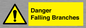 WV10531: Danger Falling Branches