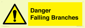 WV10531: Danger Falling Branches