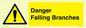 WV10531: Danger Falling Branches