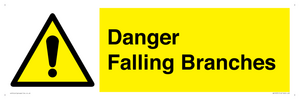 WV10531: Danger Falling Branches