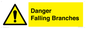 WV10531: Danger Falling Branches