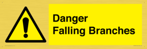 WV10531: Danger Falling Branches