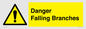 WV10531: Danger Falling Branches