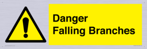 WV10531: Danger Falling Branches