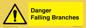 WV10531: Danger Falling Branches