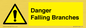 WV10531: Danger Falling Branches