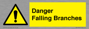WV10531: Danger Falling Branches