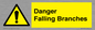 WV10531: Danger Falling Branches