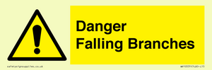 WV10531: Danger Falling Branches