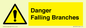 WV10531: Danger Falling Branches