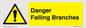 WV10531: Danger Falling Branches
