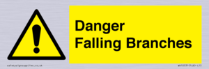 WV10531: Danger Falling Branches