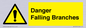 WV10531: Danger Falling Branches