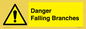 WV10531: Danger Falling Branches