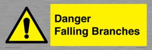 WV10531: Danger Falling Branches