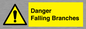 WV10531: Danger Falling Branches