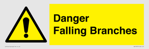WV10531: Danger Falling Branches