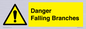 WV10531: Danger Falling Branches