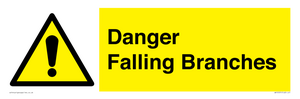 WV10531: Danger Falling Branches