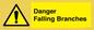 WV10531: Danger Falling Branches