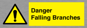 WV10531: Danger Falling Branches