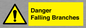 WV10531: Danger Falling Branches