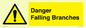 WV10531: Danger Falling Branches