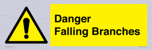 WV10531: Danger Falling Branches