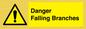 WV10531: Danger Falling Branches