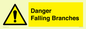 WV10531: Danger Falling Branches